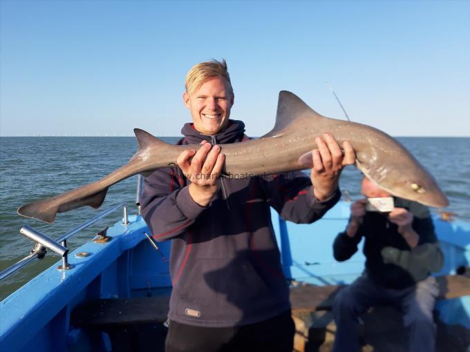 12 lb Smooth-hound by Rob