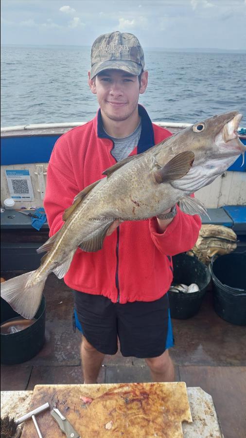 9 lb Cod by Unknown