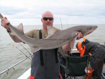 21 lb 2 oz Smooth-hound (Common) by Dave Leister