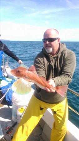 3 lb 8 oz Tub Gurnard by wayne