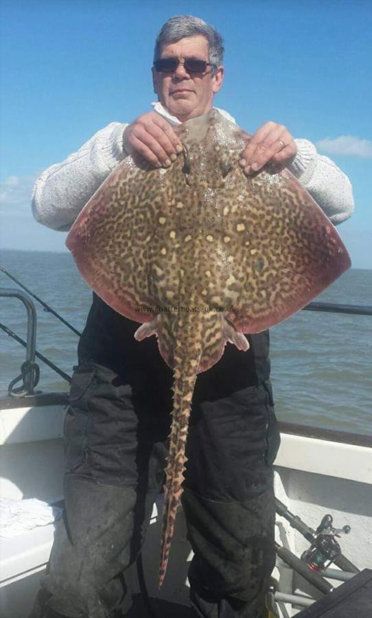 13 lb Thornback Ray by Chris