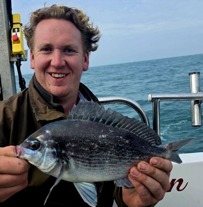 1 lb 10 oz Black Sea Bream by The General