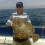 19 lb 7 oz Turbot by sea leopard