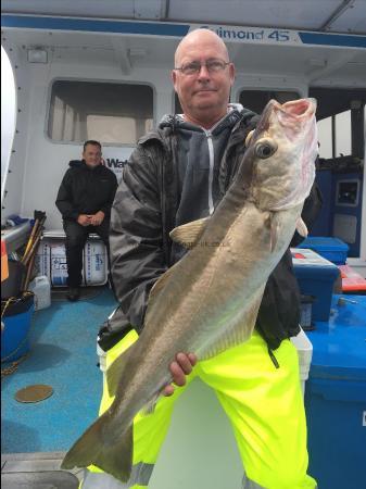 13 lb Pollock by Kevin McKie