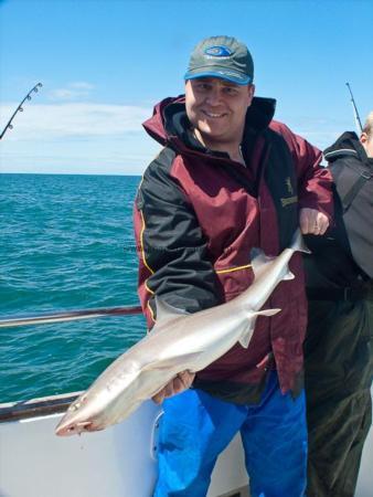 12 lb Starry Smooth-hound by John