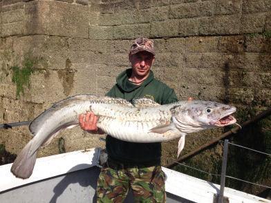 40 lb Ling (Common) by Unknown