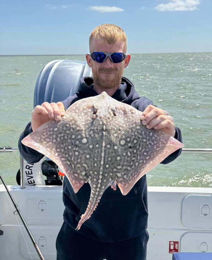 6 lb Thornback Ray by David