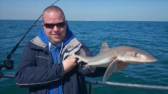 4 lb Smooth-hound (Common) by George from Kent