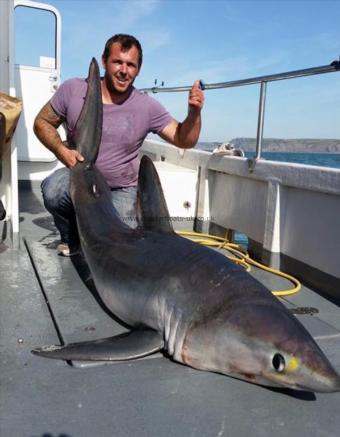 238 lb Porbeagle by Dan Hawkins