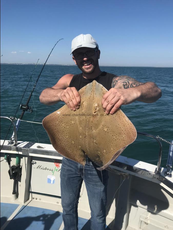 12 lb Blonde Ray by James