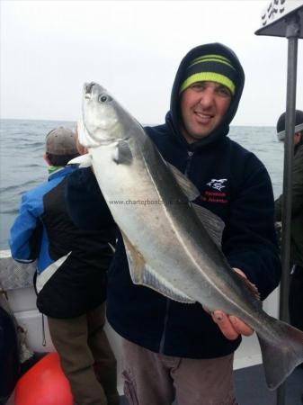 6 lb Coalfish (Coley/Saithe) by John hocking