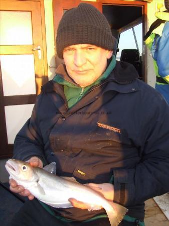 1 lb 12 oz Whiting by neil