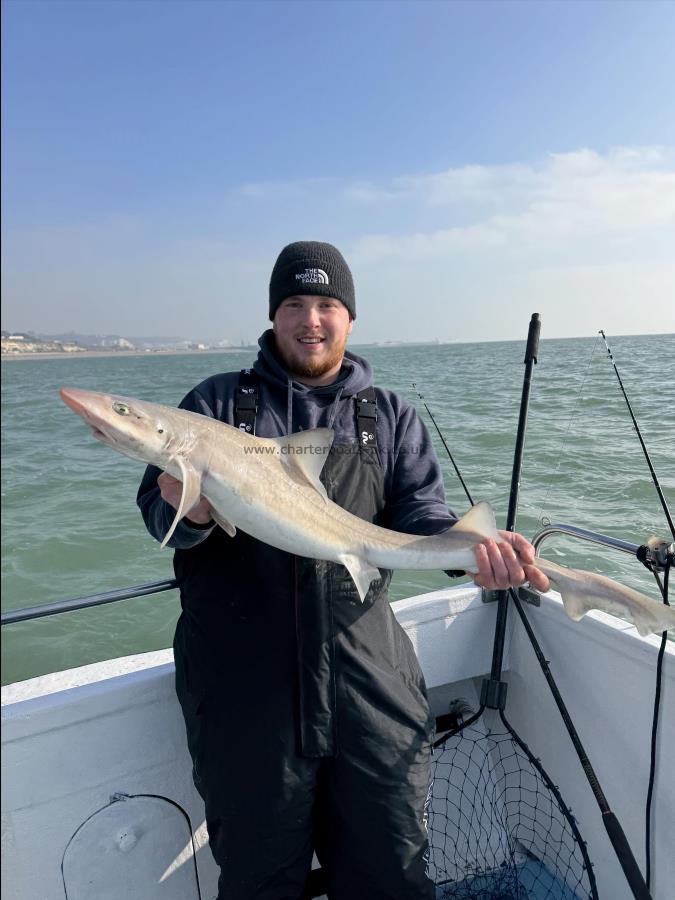 11 lb Smooth-hound by Unknown