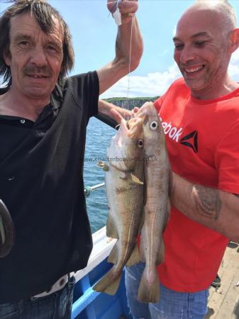 4 lb Cod by lee and trevor from scarboro 24/6/2016