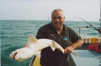 12 lb 8 oz Bull Huss by Grimsby lad