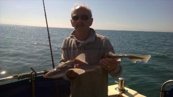 4 lb Starry Smooth-hound by Stephen Wake