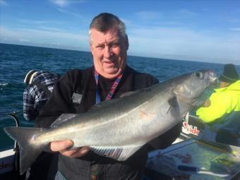 5 lb 6 oz Coalfish (Coley/Saithe) by PAUL TURNER