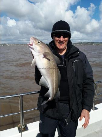 4 lb 8 oz Cod by Graham rowe