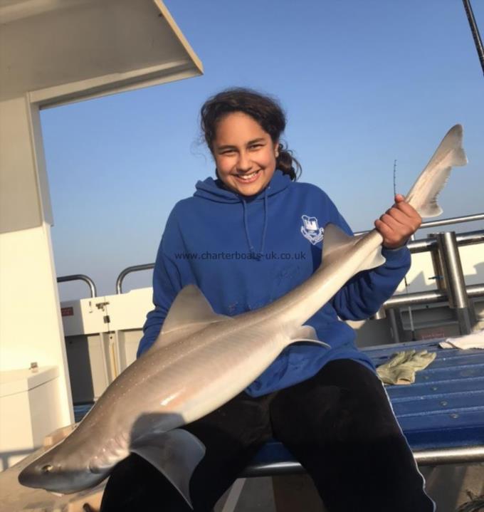 16 lb 1 oz Smooth-hound by Unknown