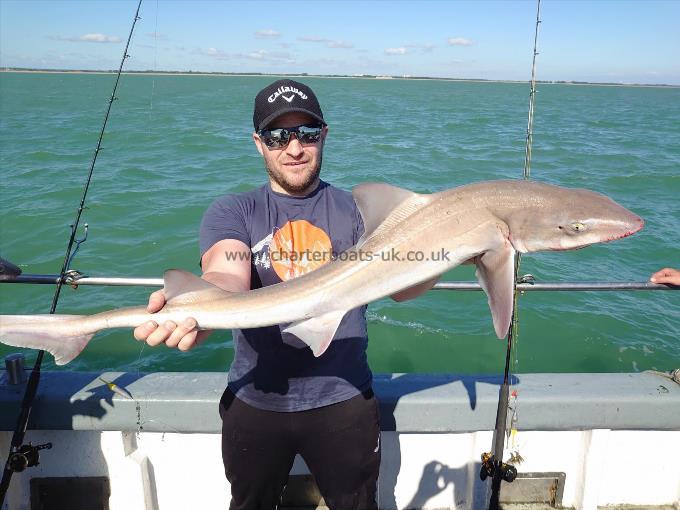 9 lb 6 oz Smooth-hound (Common) by Kevin