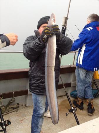 10 lb Conger Eel by Shy boy !