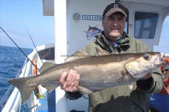 13 lb Pollock by Phil