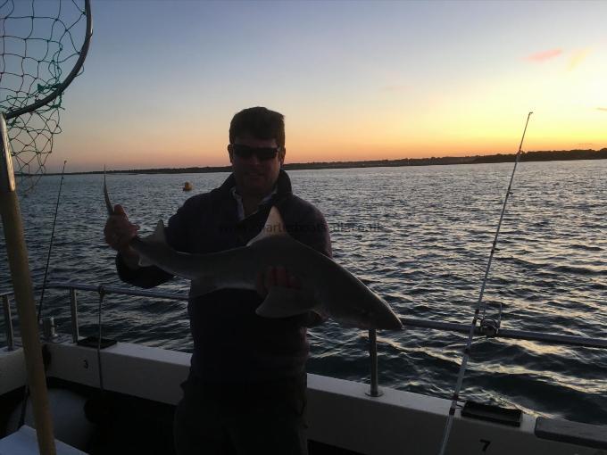 10 lb 1 oz Smooth-hound by Unknown