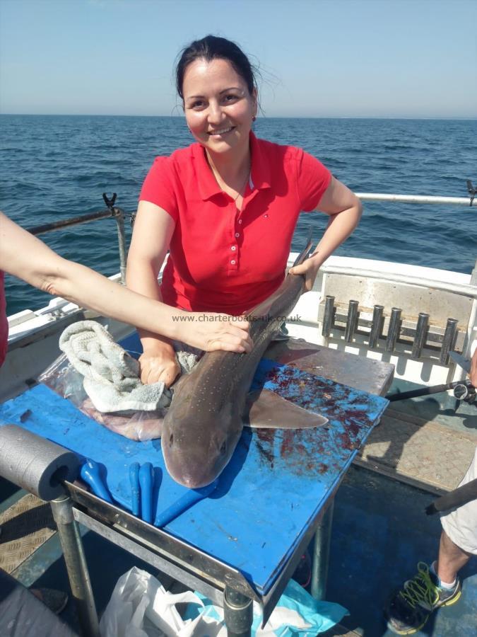 9 lb Smooth-hound by Unknown