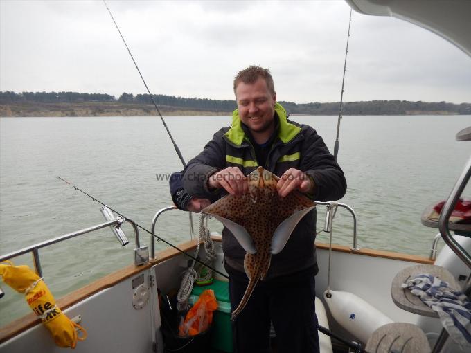 4 lb Spotted Ray by Steve Gunning Crew
