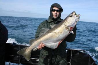 14 lb 8 oz Pollock by Darius