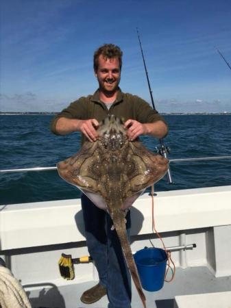 17 lb Undulate Ray by Unknown