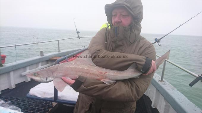 5 lb 5 oz Smooth-hound by Stuart from St Albans