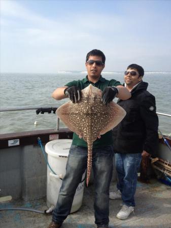 10 lb 2 oz Thornback Ray by East London Boys