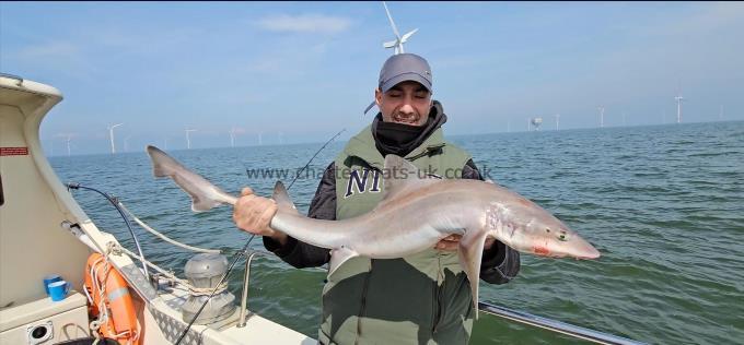 10 lb Smooth-hound (Common) by Jay