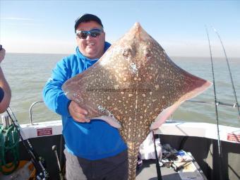 16 lb 2 oz Thornback Ray by Kieth Virtigen