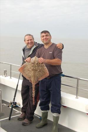 12 lb Thornback Ray by Unknown