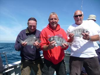 6 lb Black Sea Bream by All returned alive