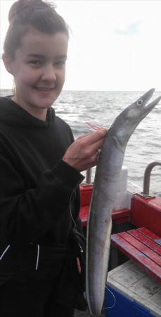 2 lb 8 oz Conger Eel by sarah