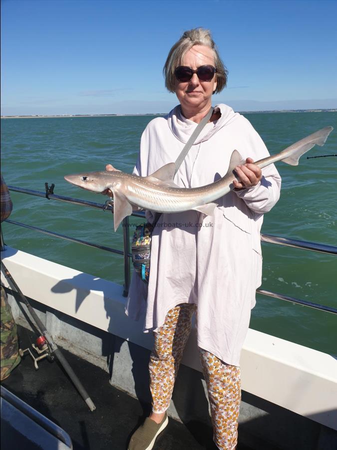 6 lb Starry Smooth-hound by Bob Marshall