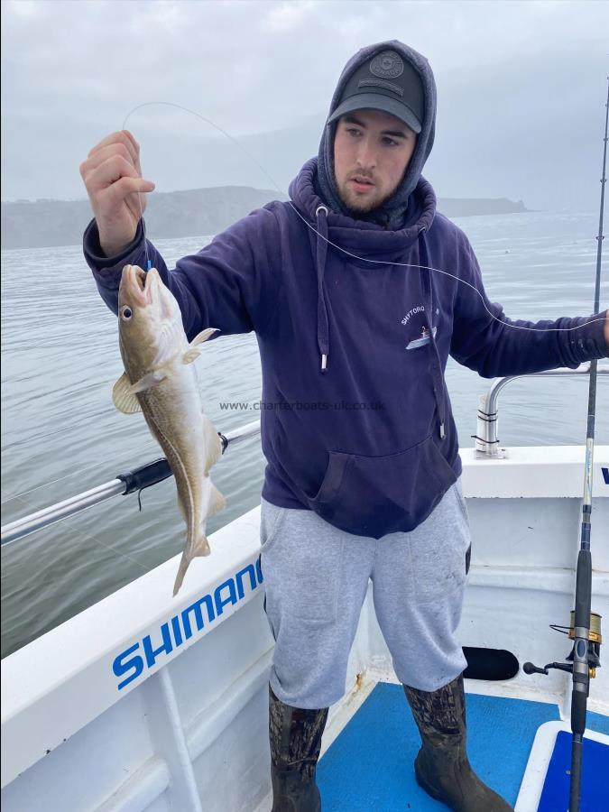 2 lb 14 oz Cod by Fergus Powell.