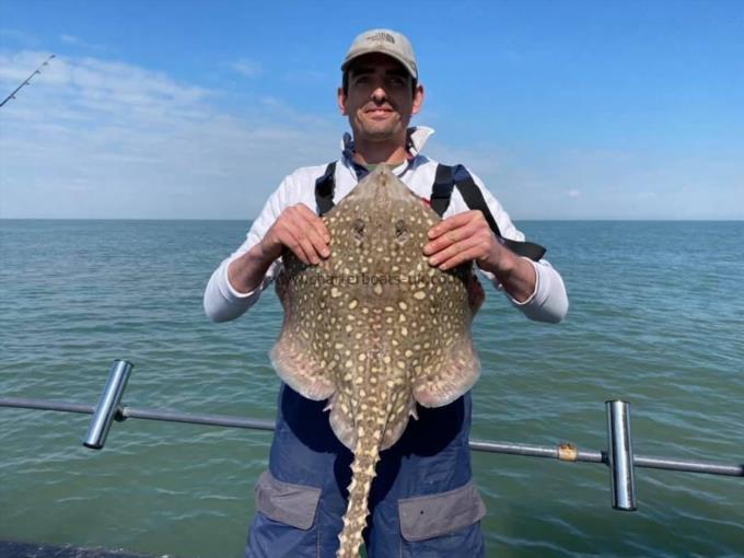 10 lb Thornback Ray by Unknown