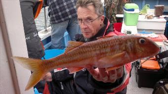 1 lb Red Mullet by bob urry catches a red mullet on HEIDI J