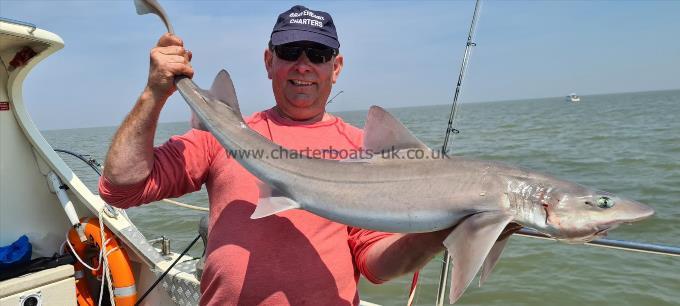 17 lb Smooth-hound (Common) by Vance