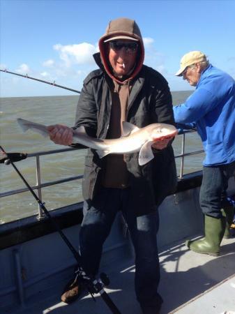 8 lb 4 oz Smooth-hound by Paul Wilkinson