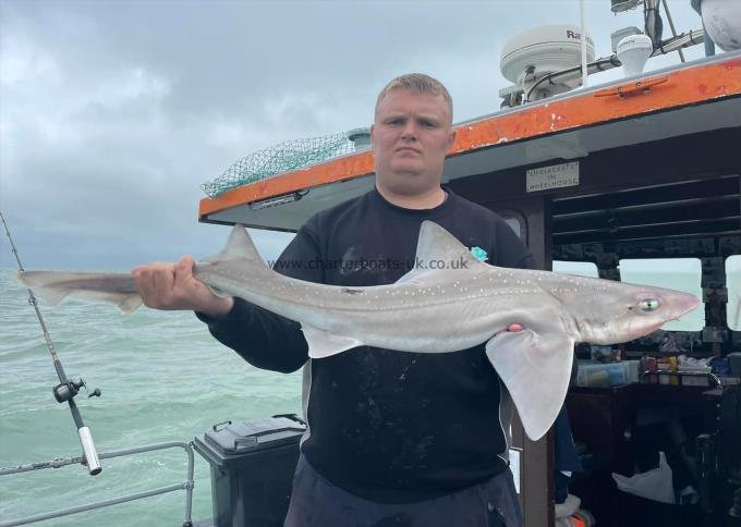 10 lb Starry Smooth-hound by Unknown