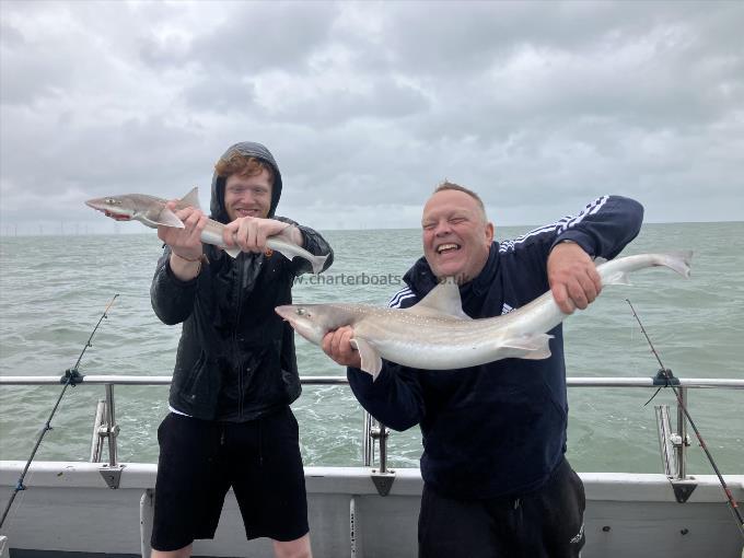 10 lb Smooth-hound by Unknown
