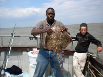 11 lb Thornback Ray by Darren