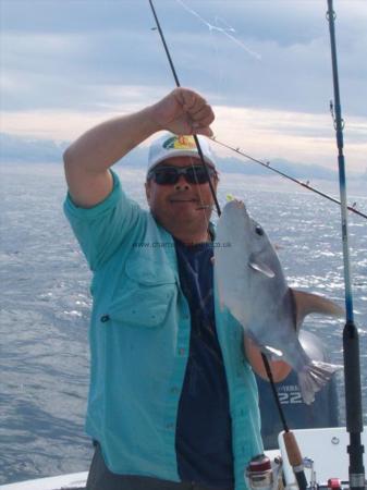 3 lb 8 oz Trigger Fish by mick