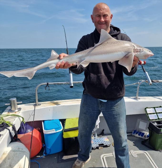 13 lb Smooth-hound (Common) by Skipper Jay