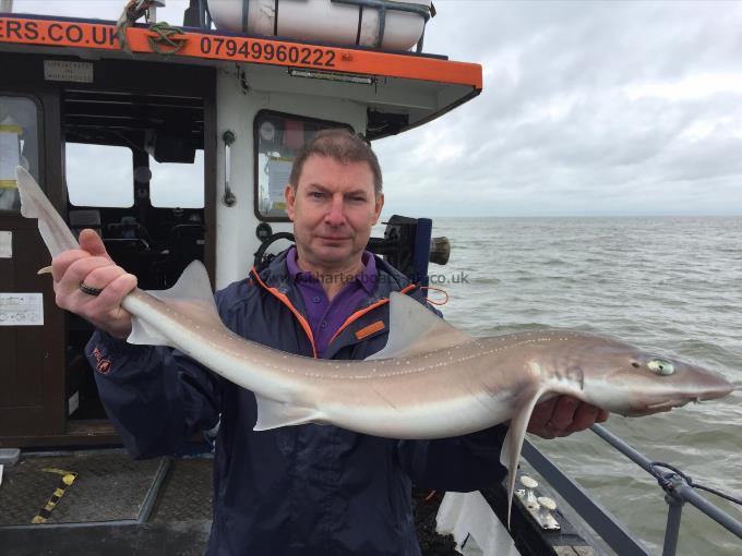 9 lb Smooth-hound (Common) by Unknown